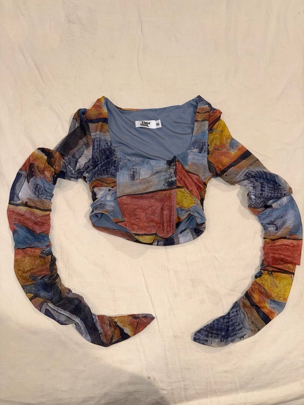 Tiger Mist Long Sleeve Mesh Ruched Crop Top Size XS Abstract Print